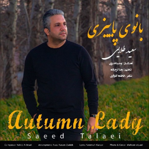 Saeed Talaei   –   Banoye Paeizi